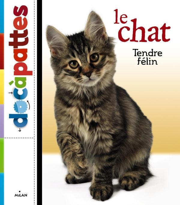 LE CHAT