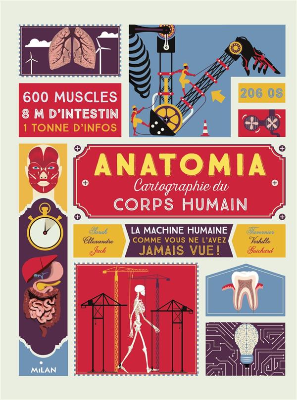 ANATOMIA - CARTOGRAPHIE DU CORPS HUMAIN