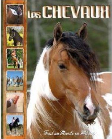 LES CHEVAUX