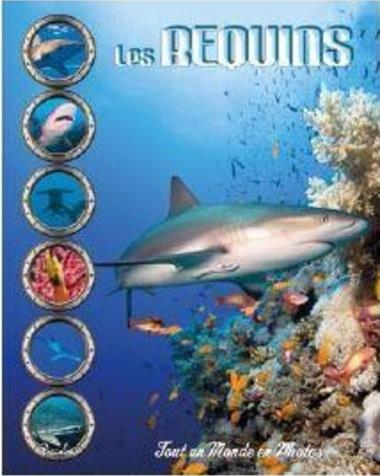 LES REQUINS