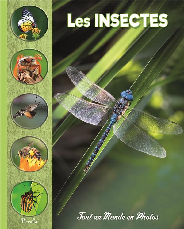 LES INSECTES