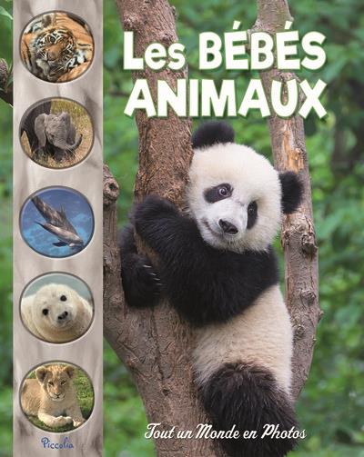 LES BEBES ANIMAUX