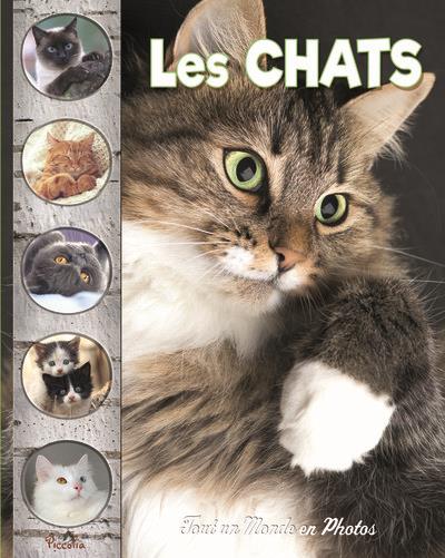 LES CHATS