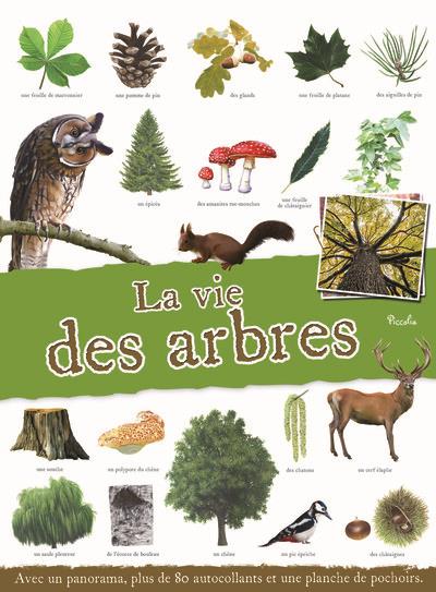 LA VIE DES ARBRES