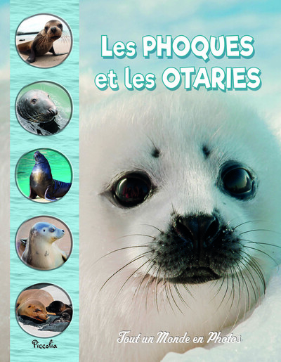 LES PHOQUES ET LES OTARIES