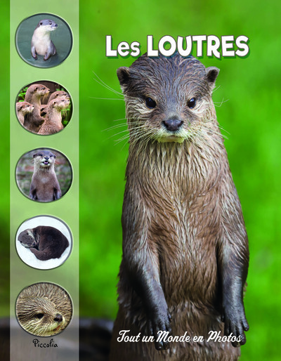 LES LOUTRES