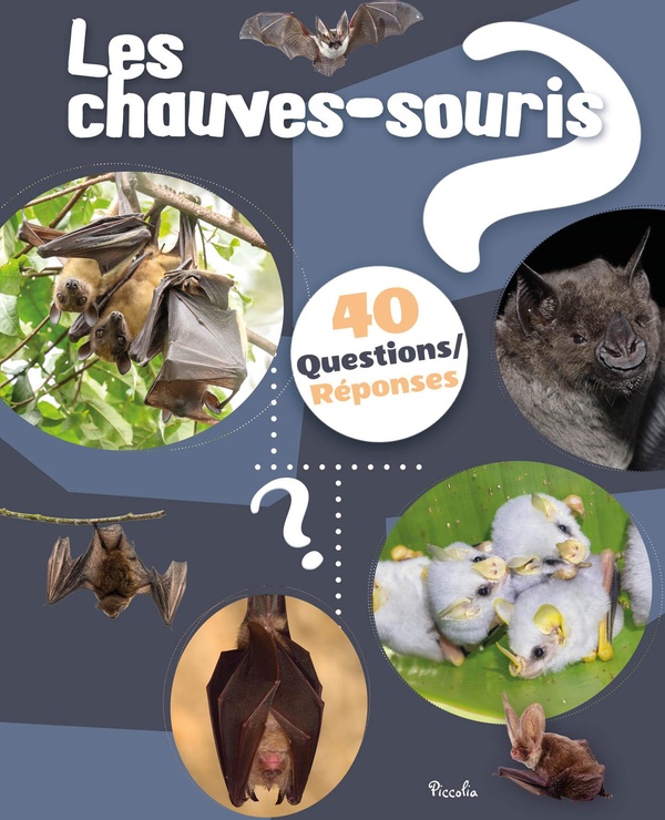 LES CHAUVES SOURIS - 40 QUESTIONS/REPONSES