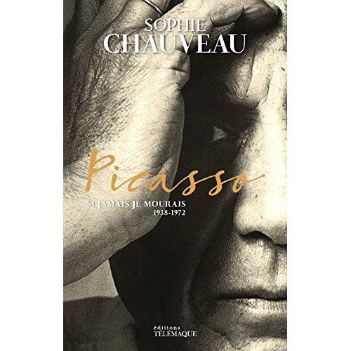 PICASSO - TOME 2 - VOL02