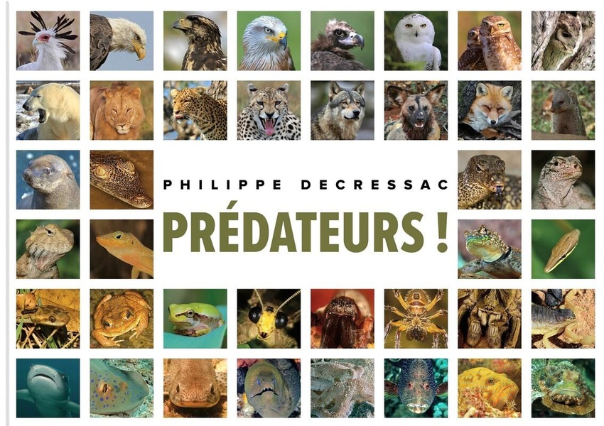 PREDATEURS !