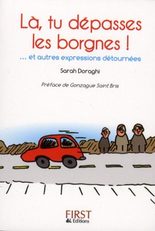 LE PETIT LIVRE DE - LA TU DEPASSES LES BORGNES ! ... ET AUTRES EXPRESSIONS DETOURNEES