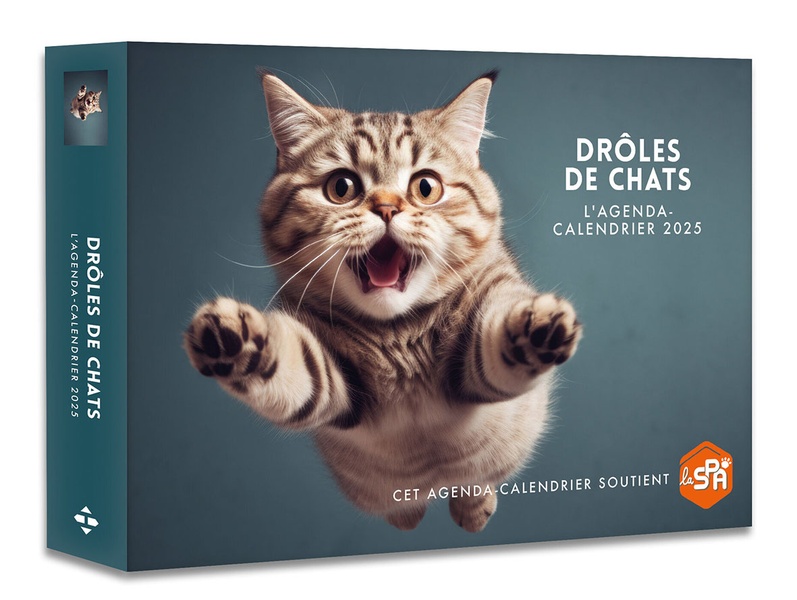 AGENDA - CALENDRIER DROLES DE CHATS 2025