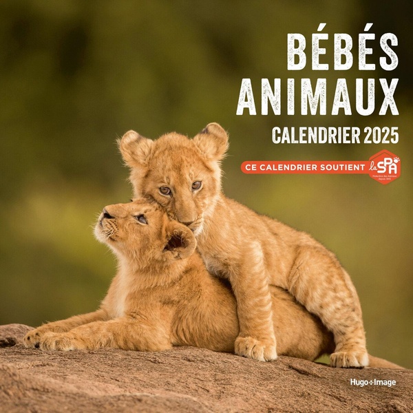 CALENDRIER MURAL BEBES ANIMAUX 2025