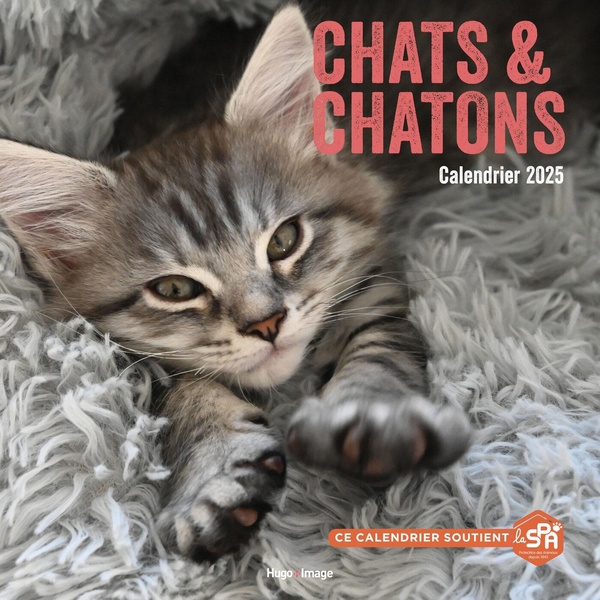 CALENDRIER MURAL CHATS ET CHATONS 2025