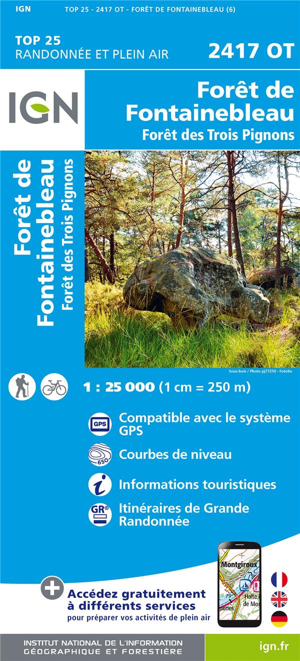 2417OT FORET DE FONTAINEBLEAU FORET DES TROIS PIGNONS