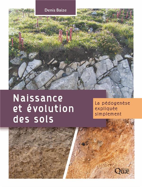 NAISSANCE ET EVOLUTION DES SOLS - LA PEDOGENESE EXPLIQUEE SIMPLEMENT