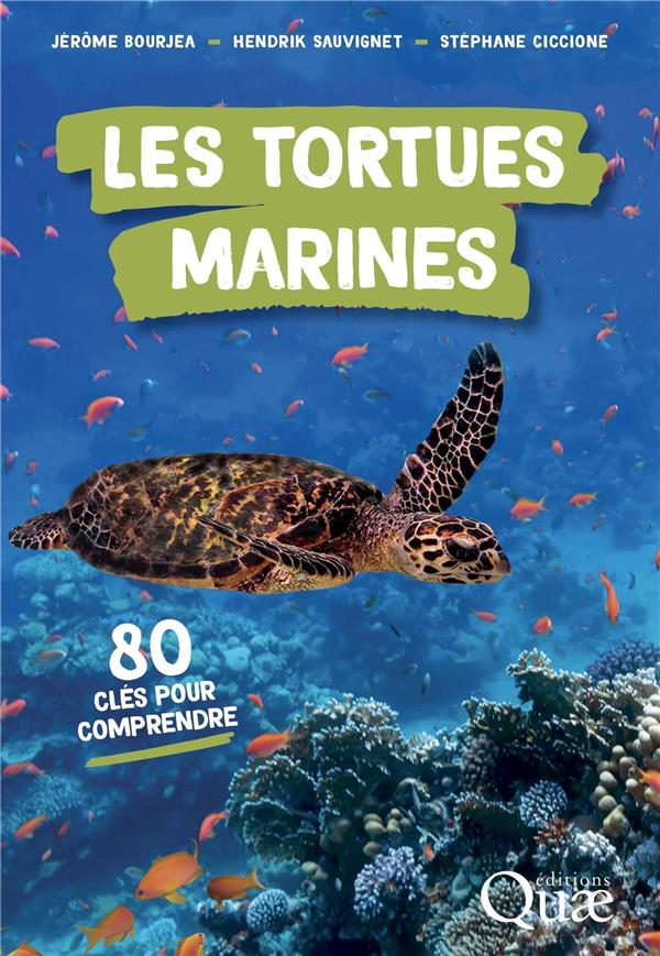 LES TORTUES MARINES - 80 CLES POUR COMPRENDRE