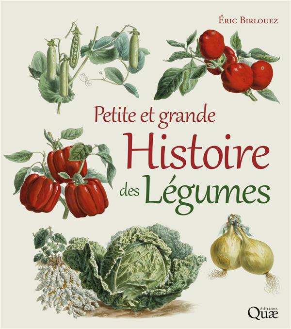 PETITE ET GRANDE HISTOIRE DES LEGUMES