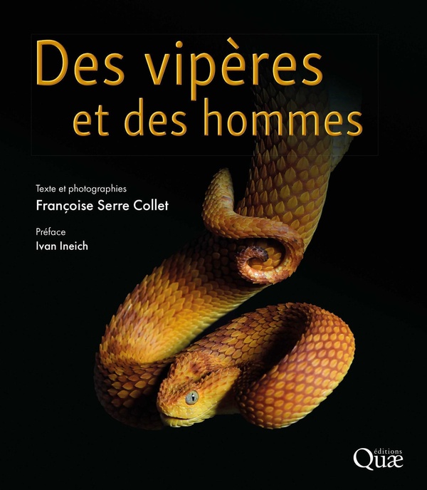 DES VIPERES ET DES HOMMES