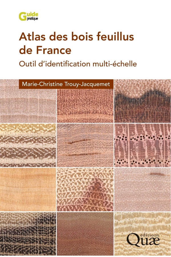 ATLAS DES BOIS FEUILLUS DE FRANCE - OUTIL D'IDENTIFICATION MULTI-ECHELLE