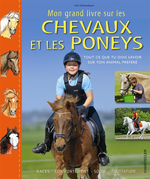 MON GRAND LIVRE SUR LES CHEVAUX ET LES PONEYS