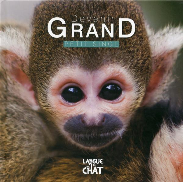 DEVENIR GRAND PETIT SINGE