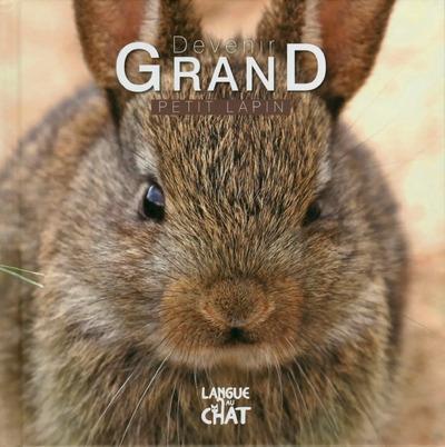 DEVENIR GRAND PETIT LAPIN