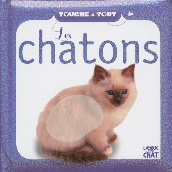 TOUCHE-A-TOUT LES CHATONS (FOND BLANC)