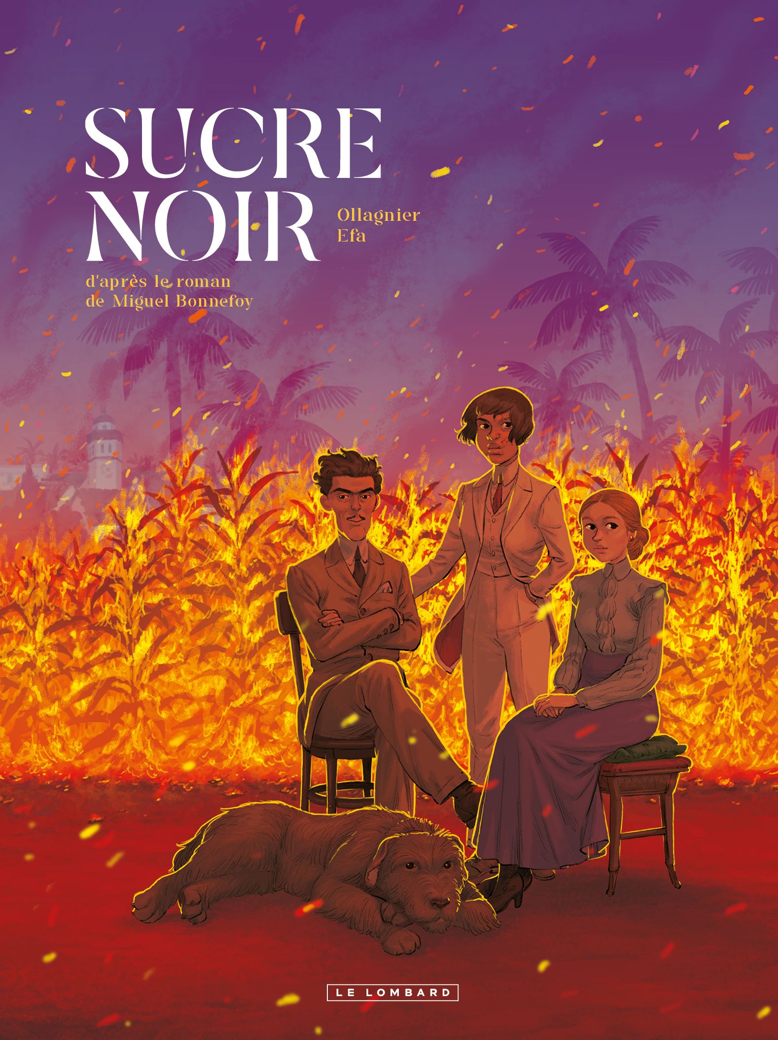 SUCRE NOIR
