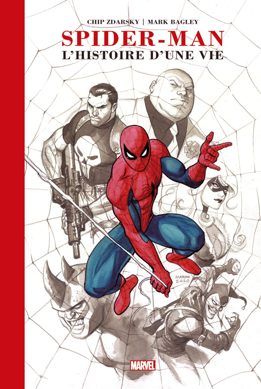 SPIDER-MAN : L'HISTOIRE D'UNE VIE (EDITION PRESTIGE)