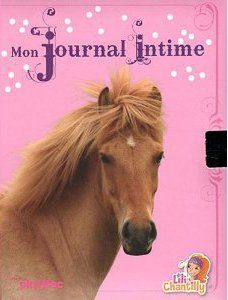 MON JOURNAL INTIME