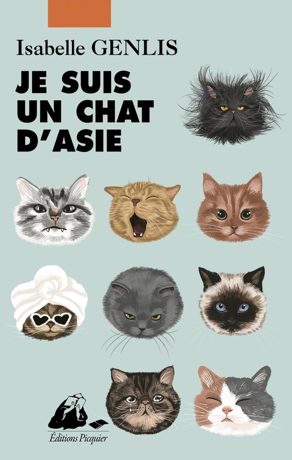 JE SUIS UN CHAT D'ASIE