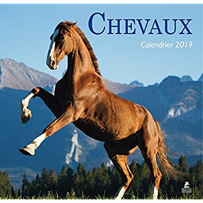 CHEVAUX - CALENDRIER 2019
