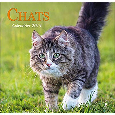 CHATS - CALENDRIER 2019