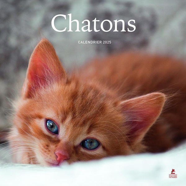 CHATONS - CALENDRIER 2025