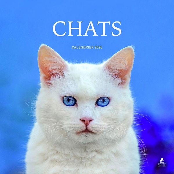 CHATS - CALENDRIER 2025