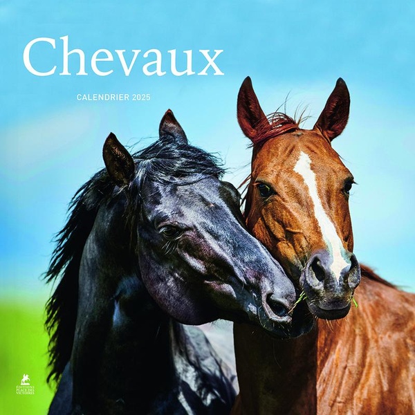 CHEVAUX - CALENDRIER 2025