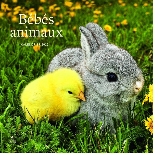 BEBES ANIMAUX - CALENDRIER 2025