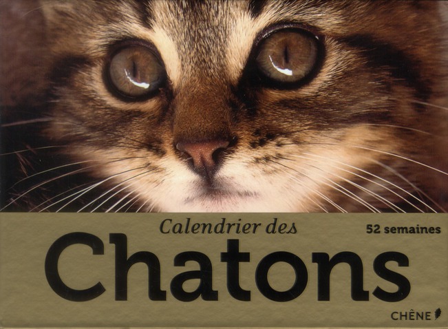 CALENDRIER DES CHATONS