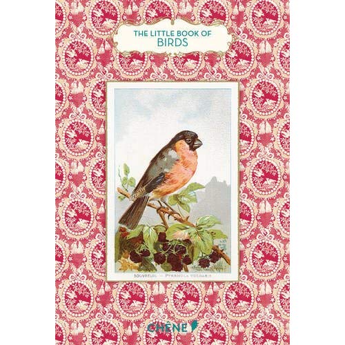 LE PETIT LIVRE DES OISEAUX VS ANGLAISE