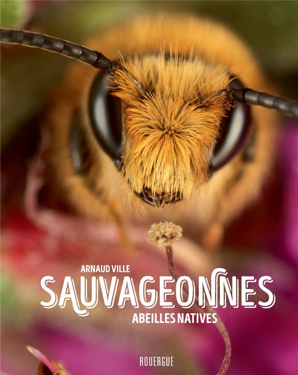 SAUVAGEONNES - ABEILLES NATIVES