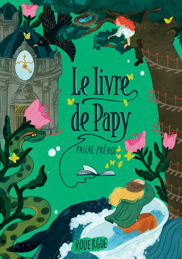 LE LIVRE DE PAPY