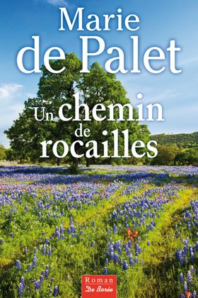 CHEMIN DE ROCAILLES (UN)