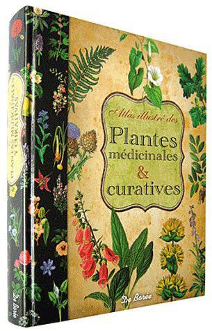 PLANTES MEDICINALES ET CURATIVES