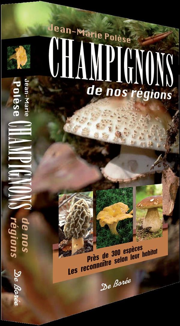 CHAMPIGNONS DE NOS REGIONS