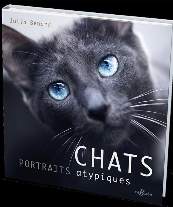 CHATS, PORTRAITS ATYPIQUES