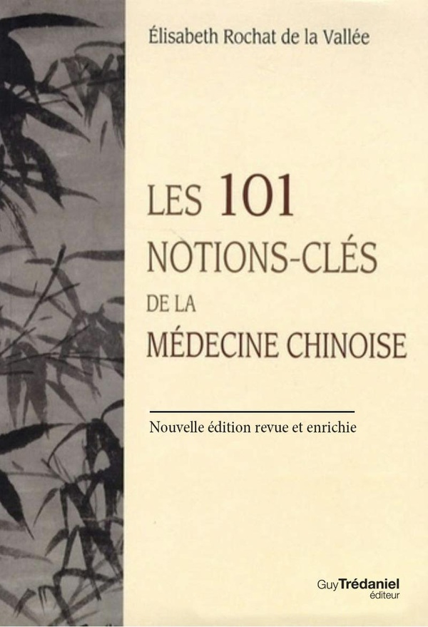 LES 101 NOTIONS-CLES DE LA MEDECINE CHINOISE - NOUVELLE EDITION REVUE ET AUGMENTEE