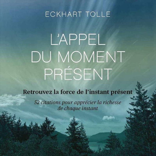 L'APPEL DU MOMENT PRESENT D'ECKHART TOLLE - 52 CARTES POUR CALMER L'ESPRIT ET VIVRE DANS L'ICI ET MA