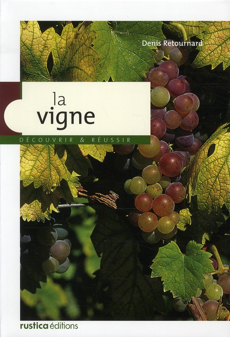 LA VIGNE
