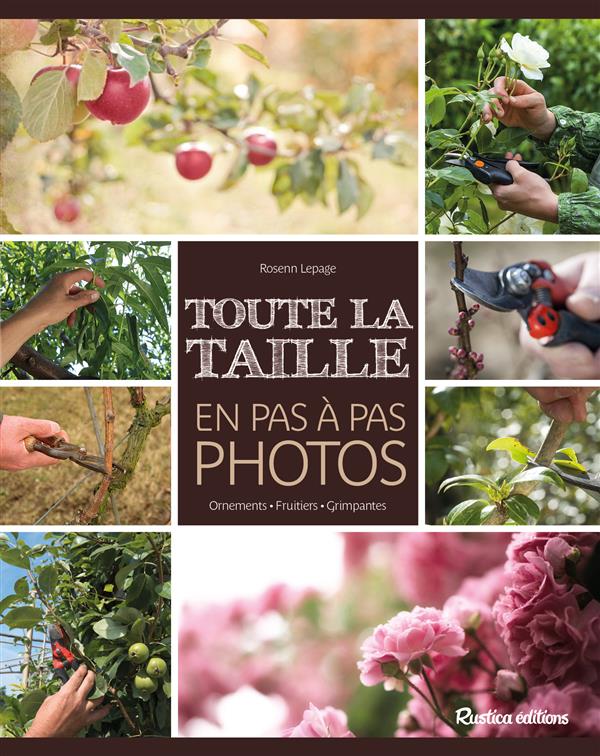 TOUTE LA TAILLE EN PAS-A-PAS PHOTOS