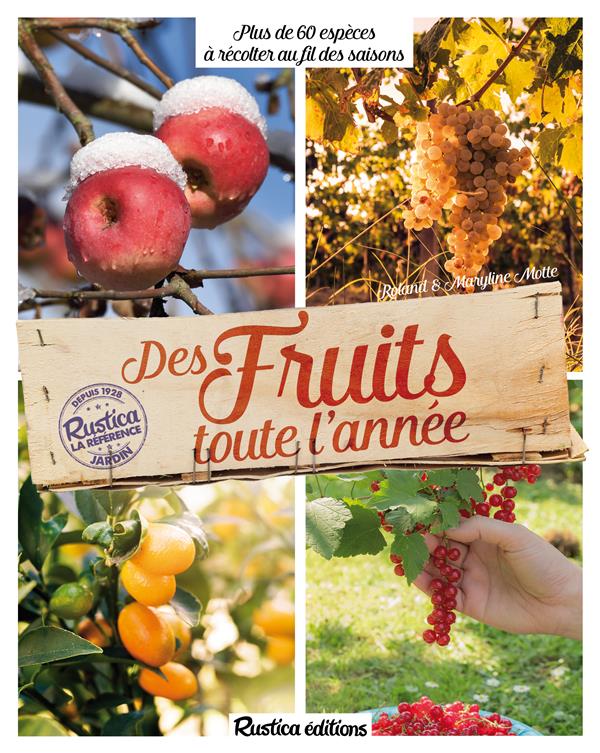 DES FRUITS TOUTE L'ANNEE